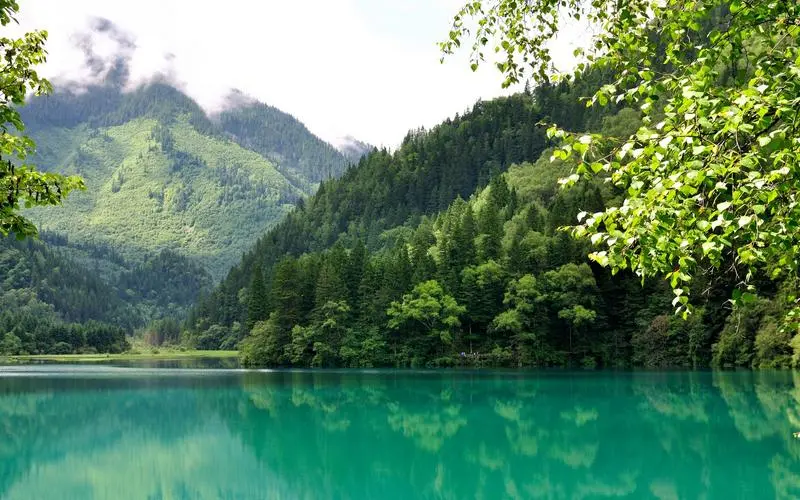 高效高端